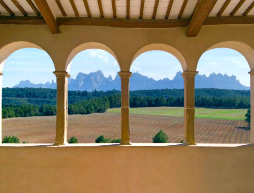 montserrat wine tour