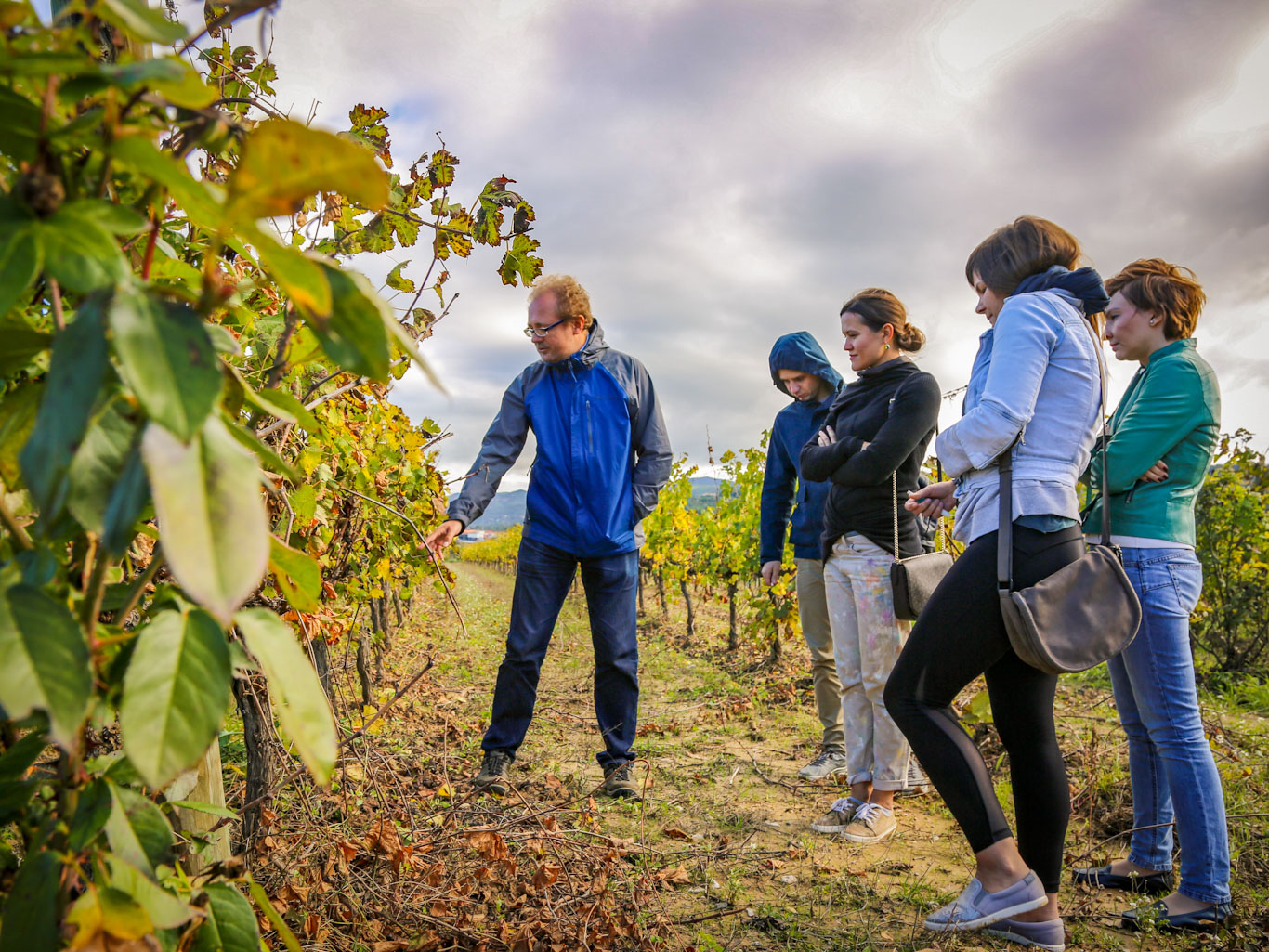 Vineyard walk on a private cava and wine tour from Barcelona