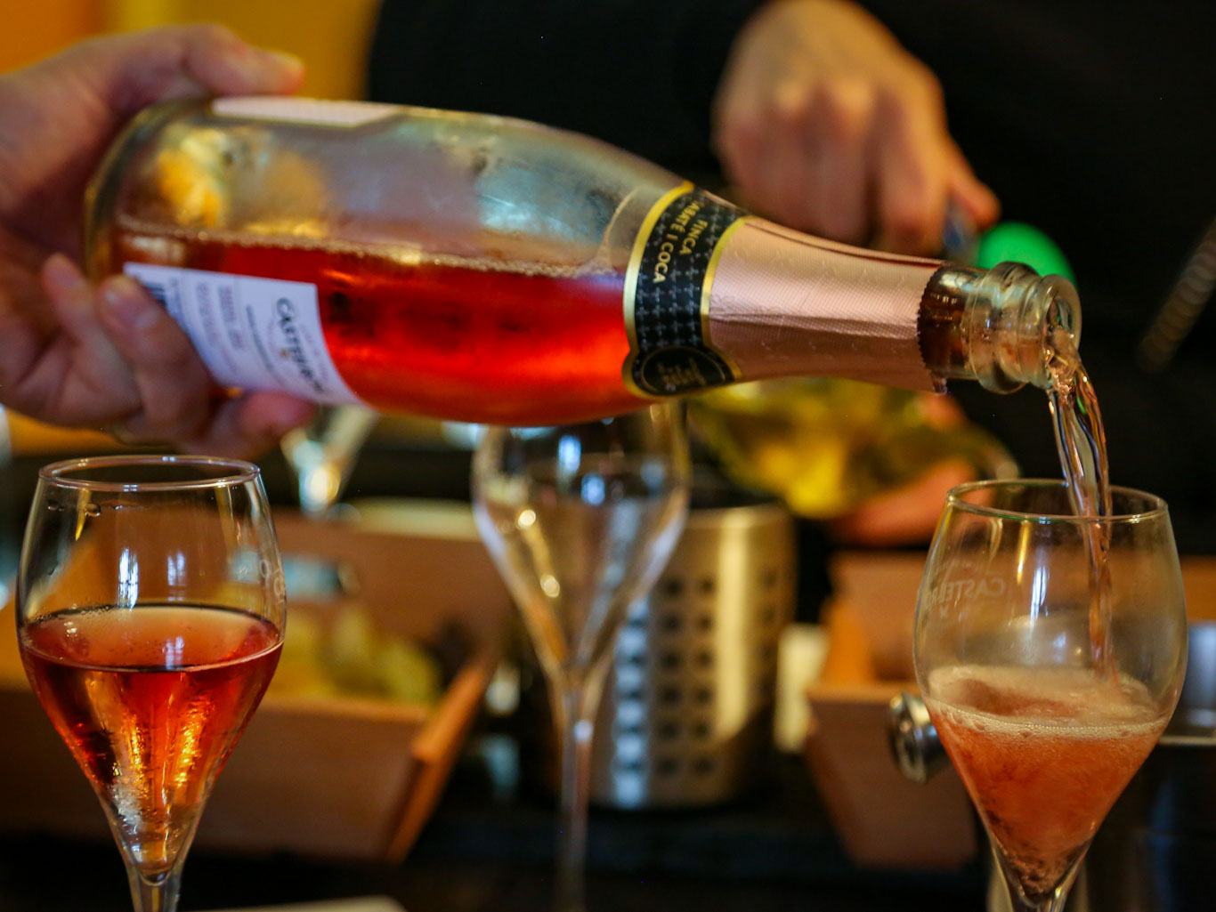 Cava tasting in Penedes on a private wine tour