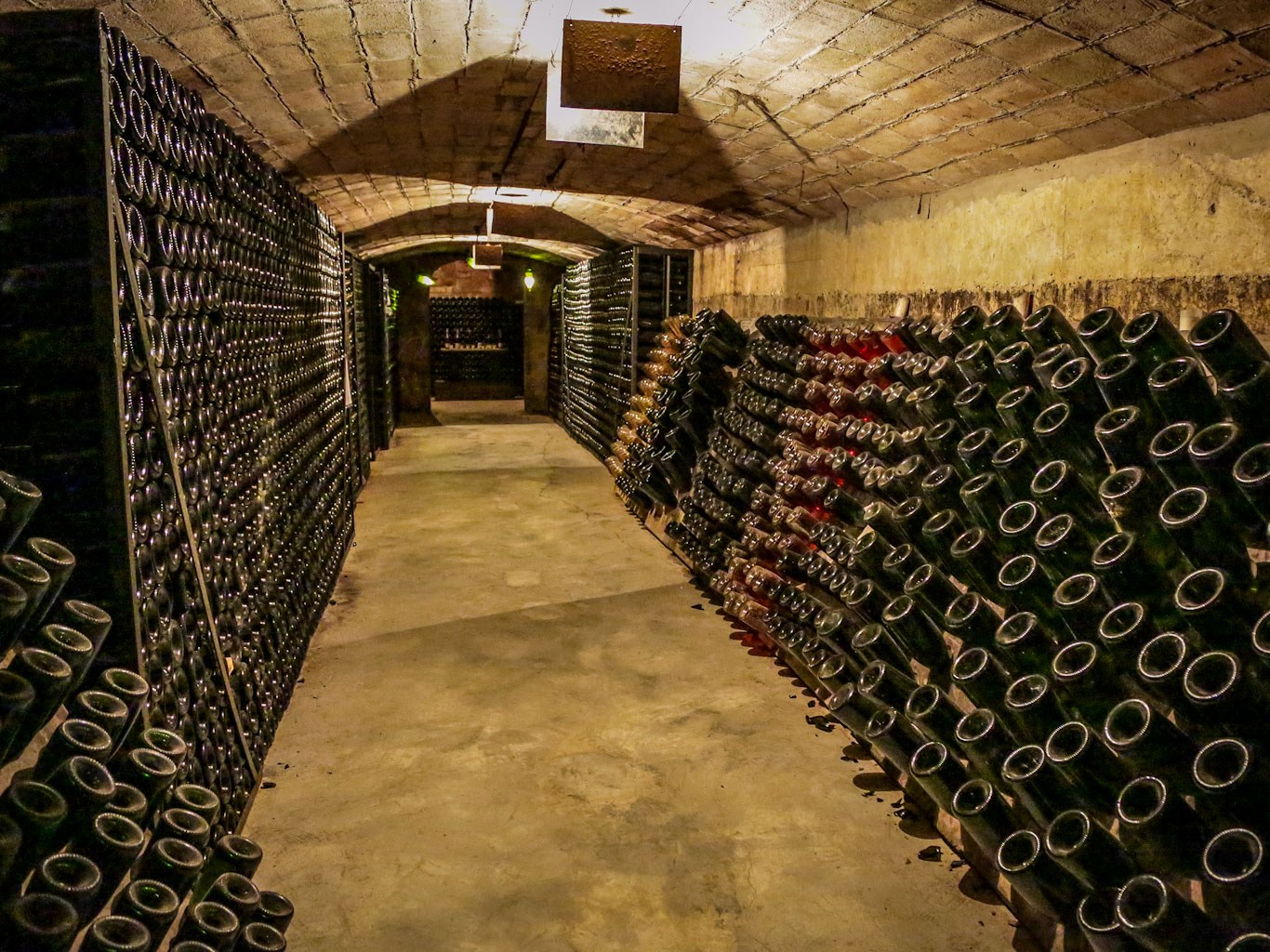 Cava cellar visited on a private wine tour from Barcelona