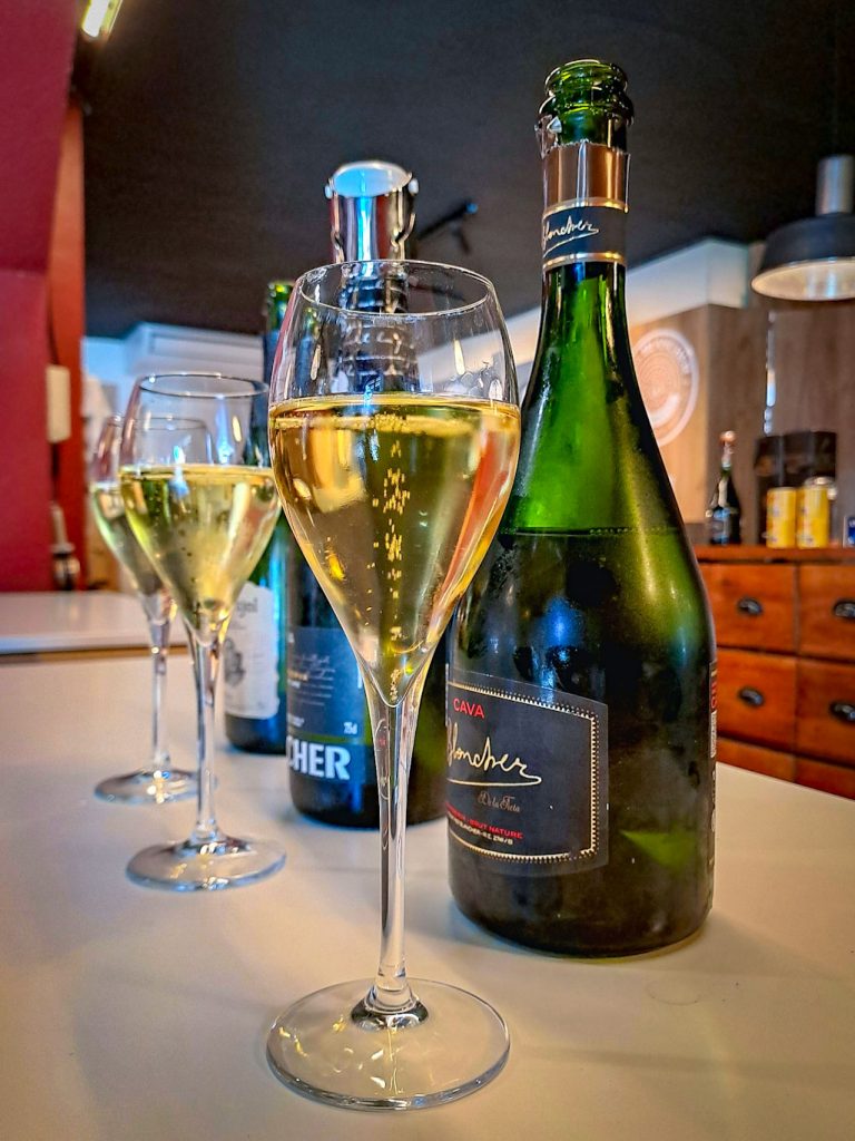 Cava tasting in Penedes on a wine tour from Barcelona